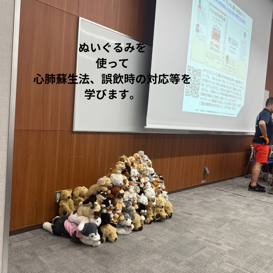 ぬいぐるみを 使って 心肺蘇生法、誤飲時の対応等 学びます。.png