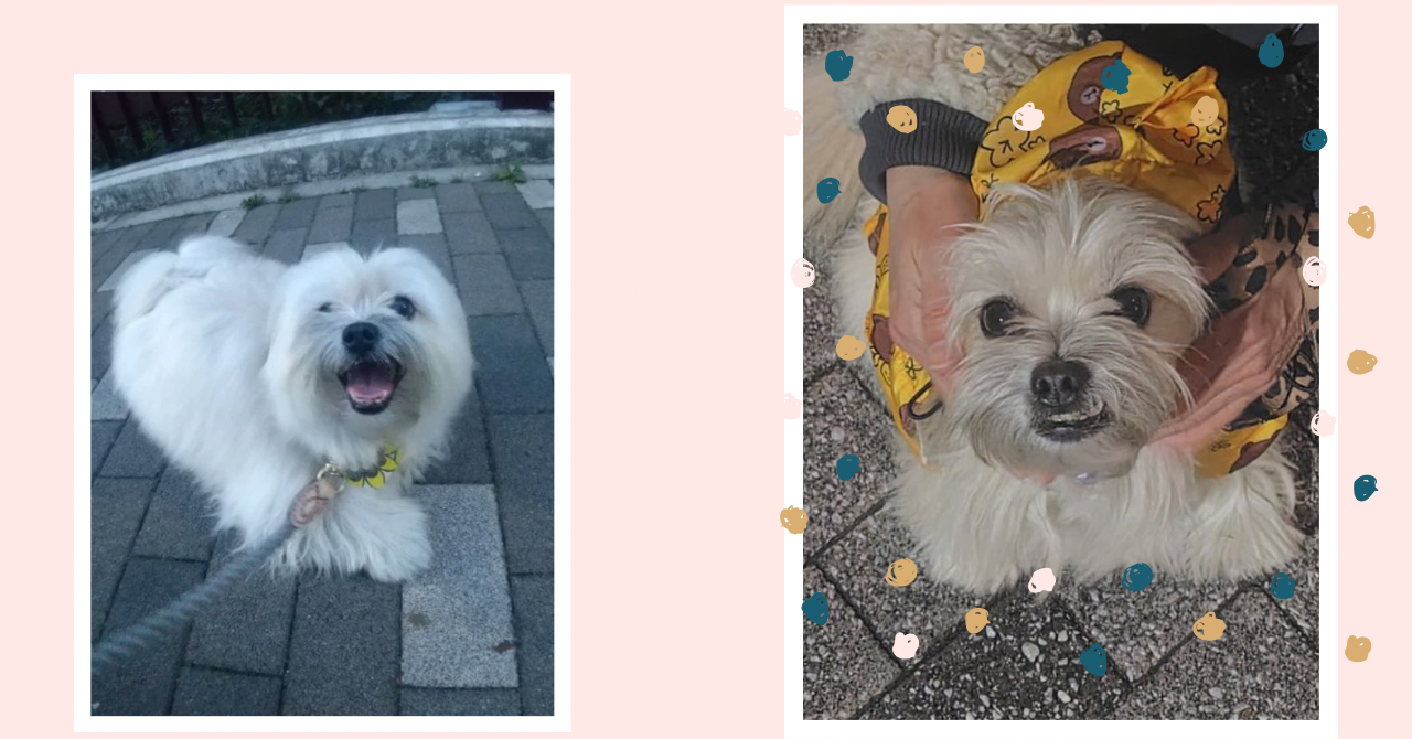 アイボリー 茶色  シンプル  コラム note ノート 記事見出し画像 - 3.png