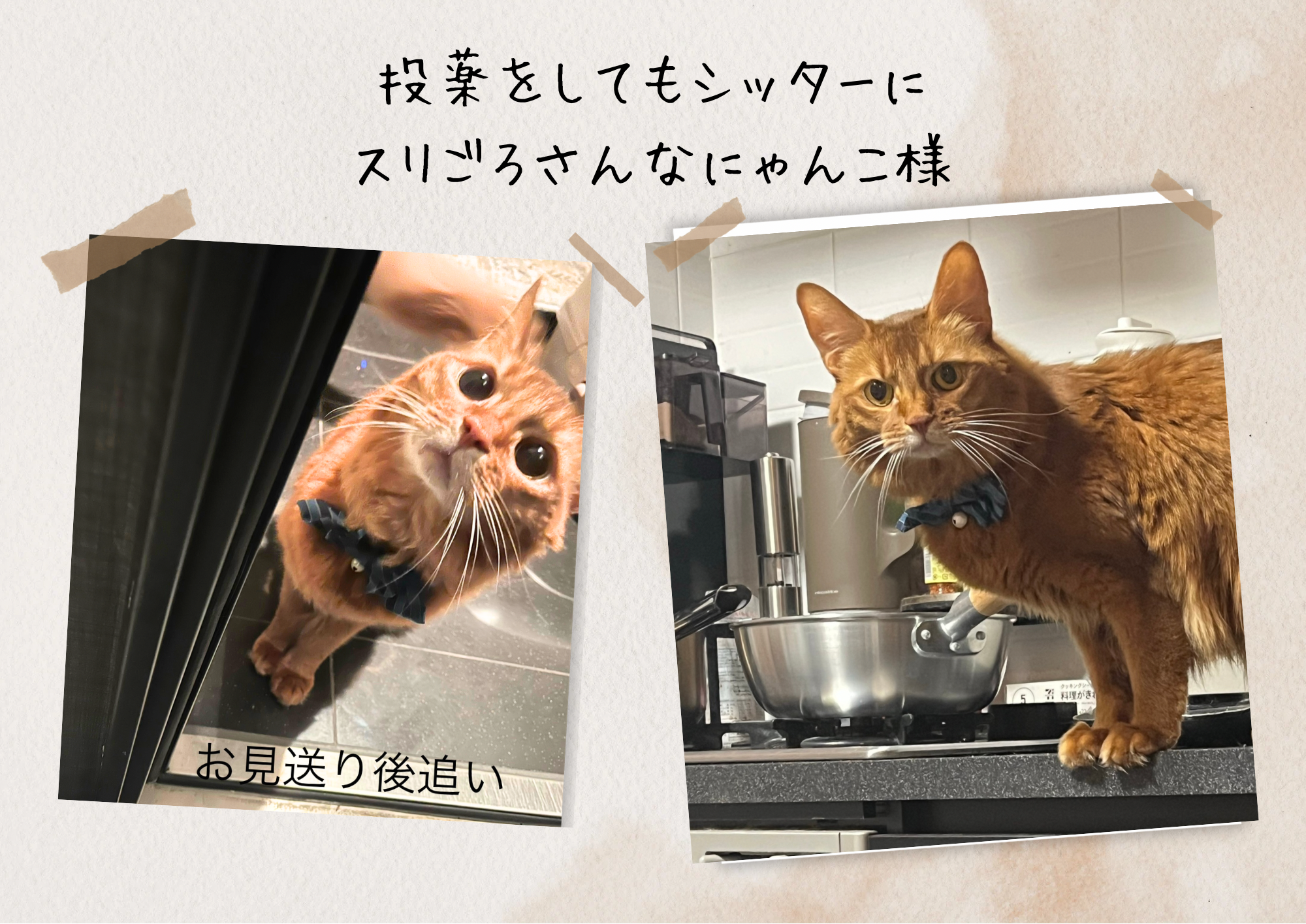 ベージュ 写真  シンプル 2枚 A4.png