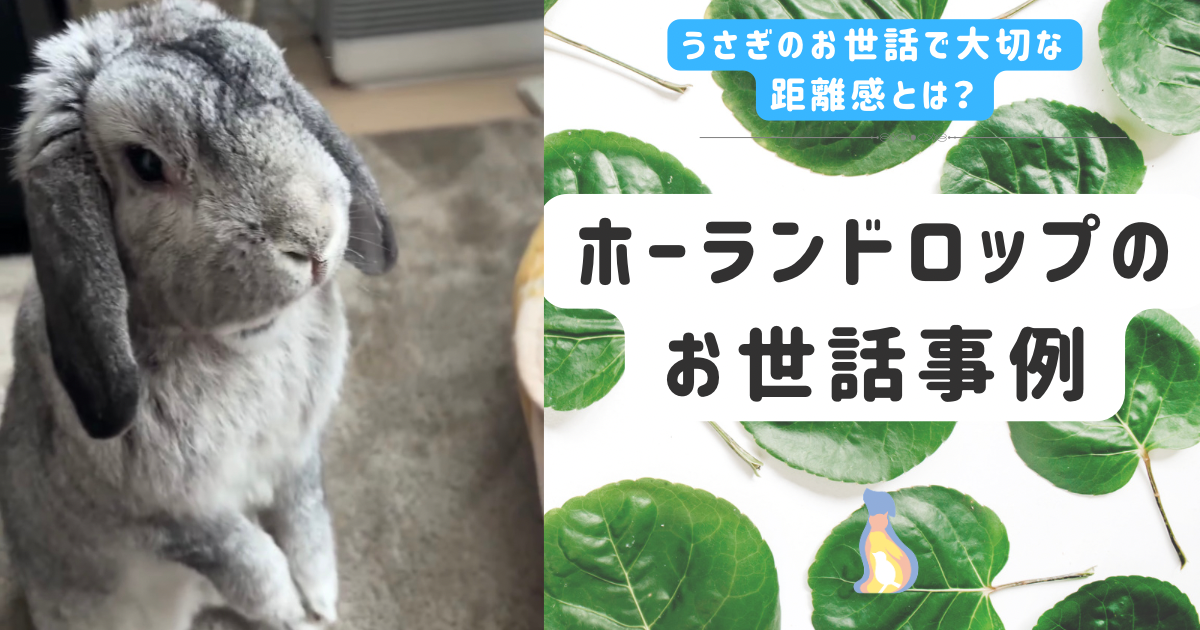 ホワイトとグリーン シンプル ボタニカル 結婚式 準備 はてなブログ アイキャッチ画像.png