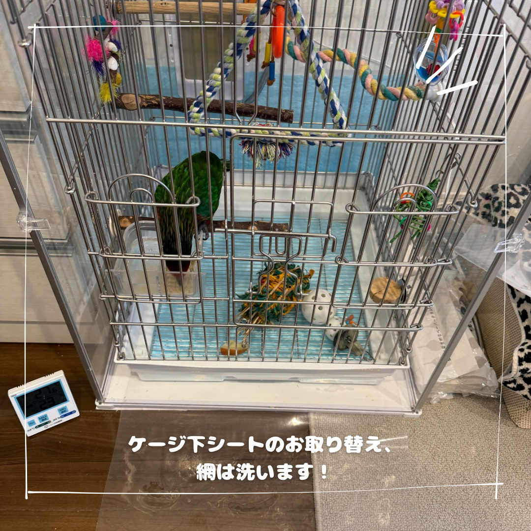 入室時ご挨拶.png