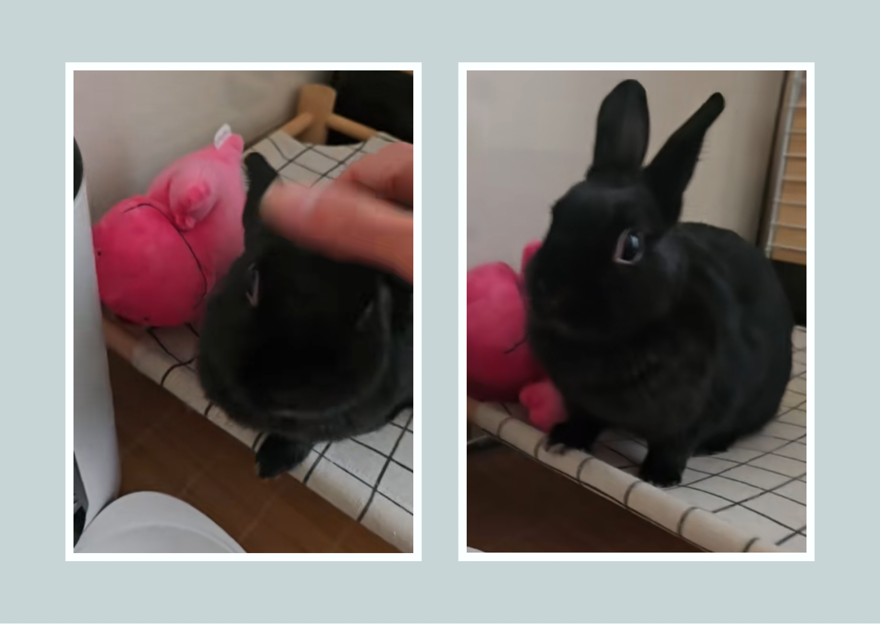 写真 フォトカード ライトブルー モダンスタイル.png