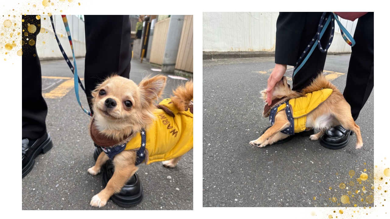 白 写真 モダン 結婚式 YouTubeサムネイル.png