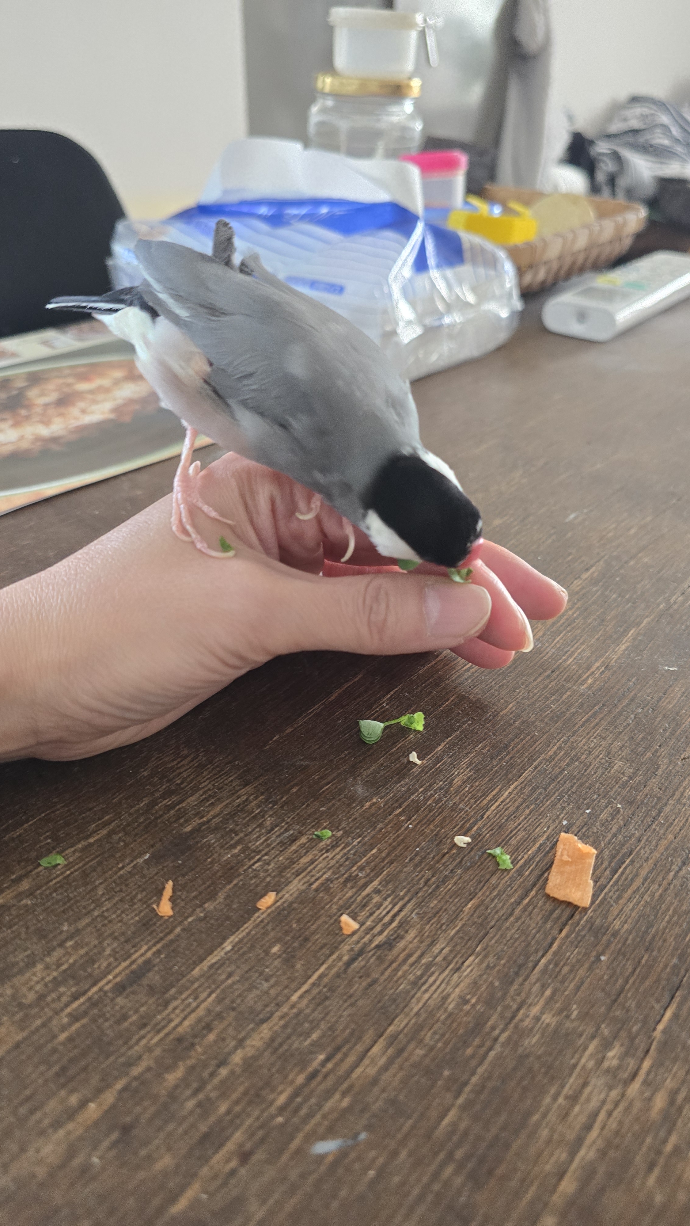 20250219_104549.jpeg