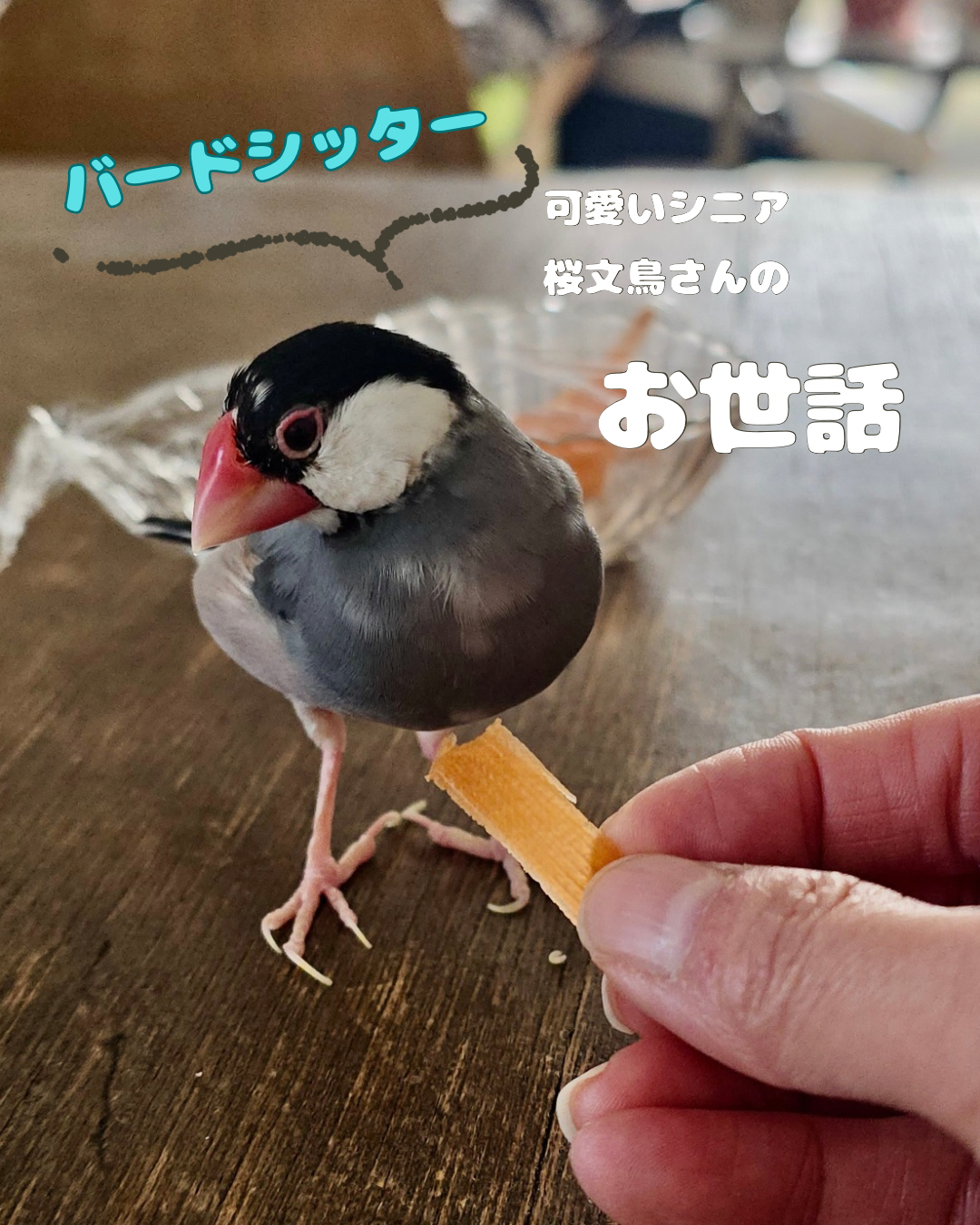 378afe9d33e40af0b52a4503b4ba8ad6081365c2.png