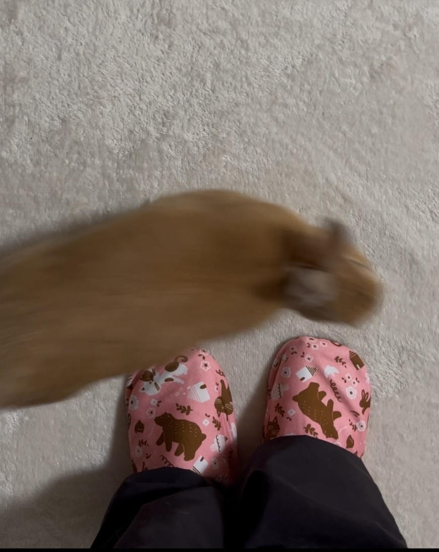 9070289dd0b7a409e90495cee3b53776a6080f02.jpeg