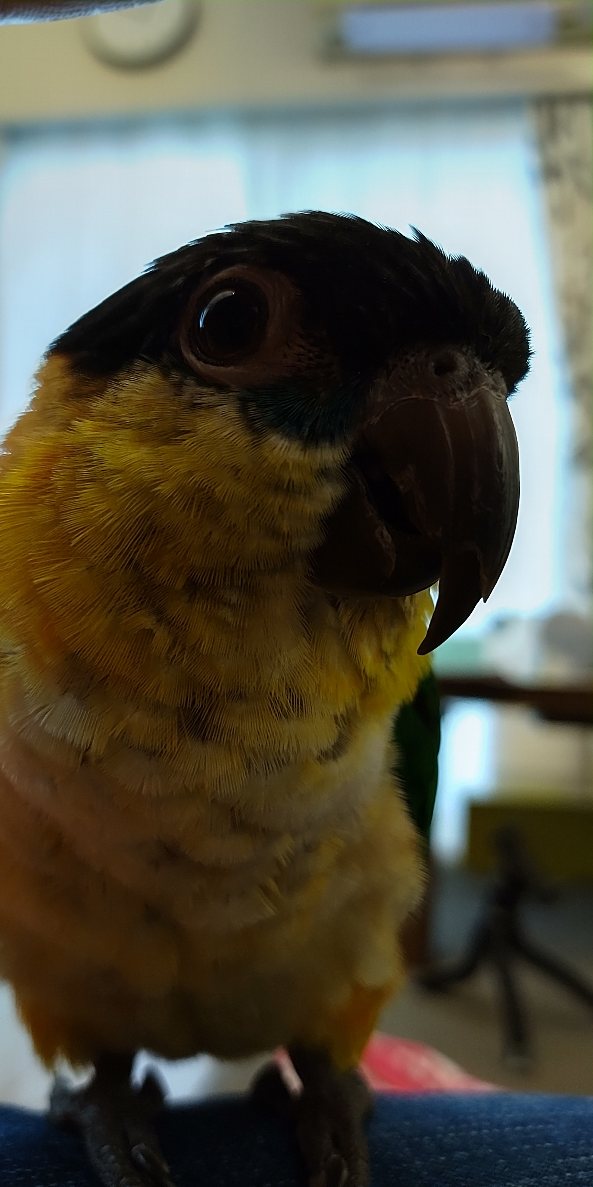 DSC_5611.jpeg