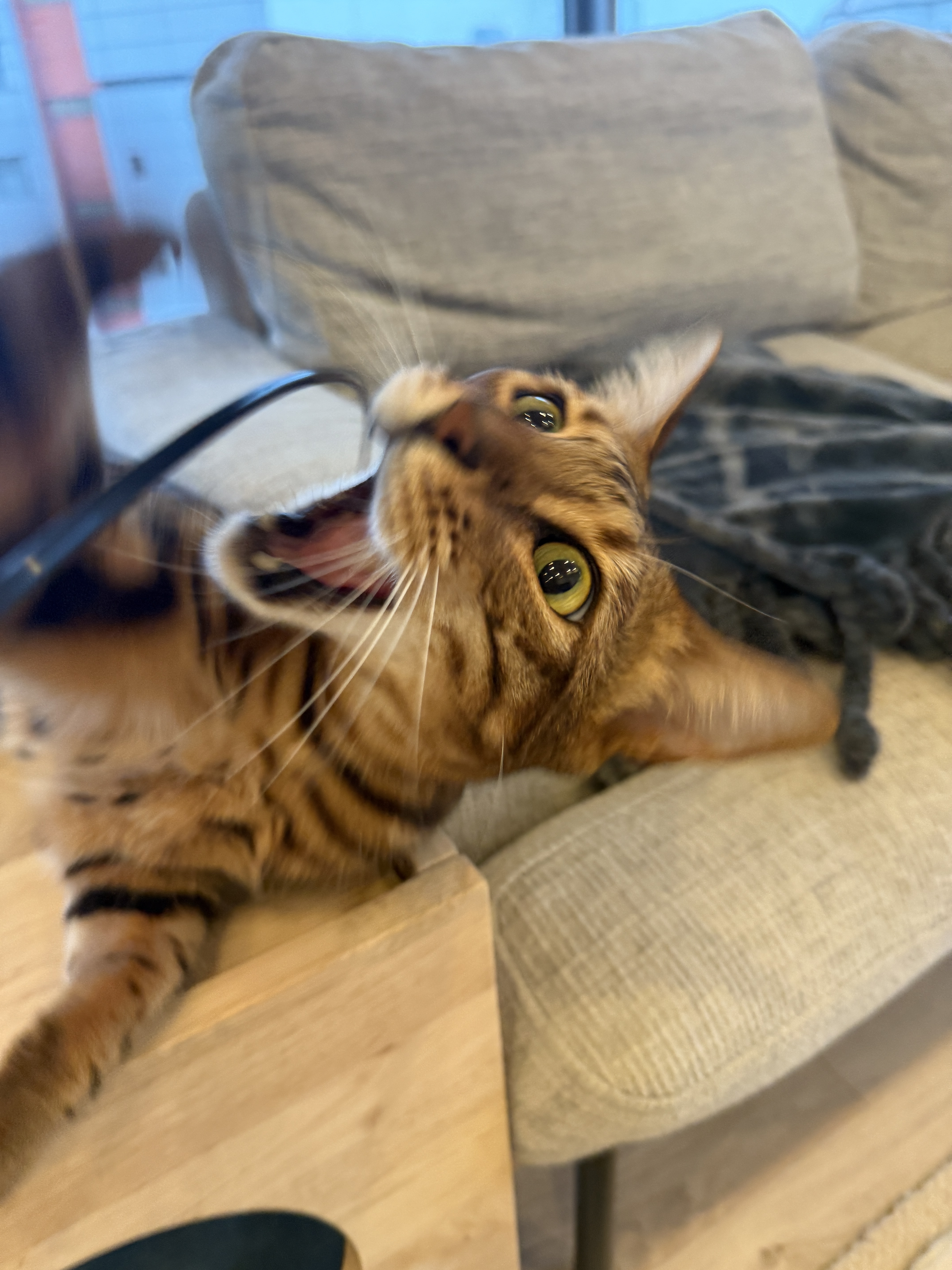 IMG_0425.jpeg