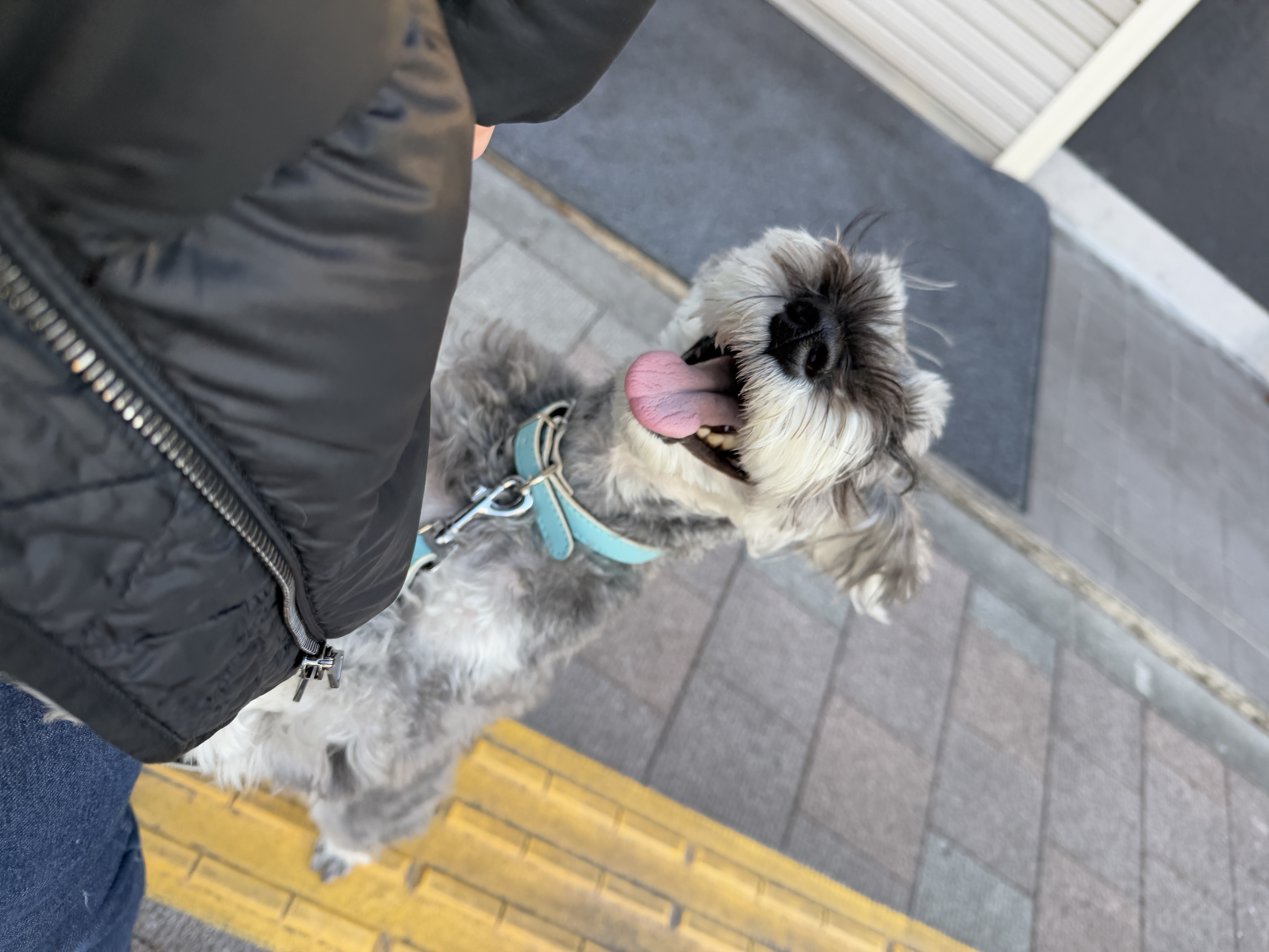 IMG_0869.jpeg
