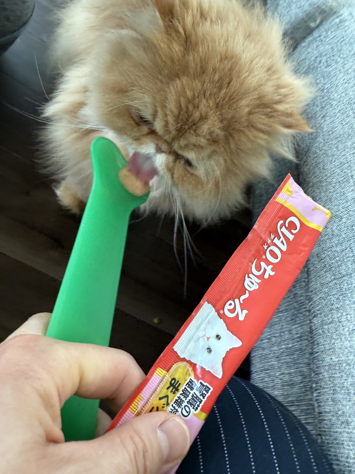 IMG_1097.jpeg