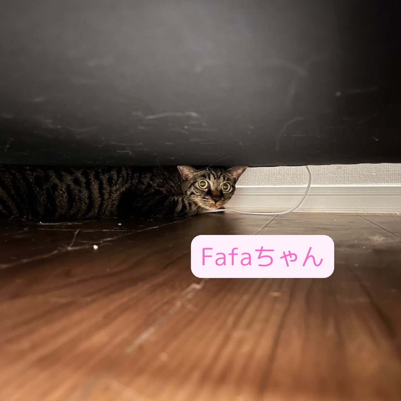 IMG_1436.jpeg