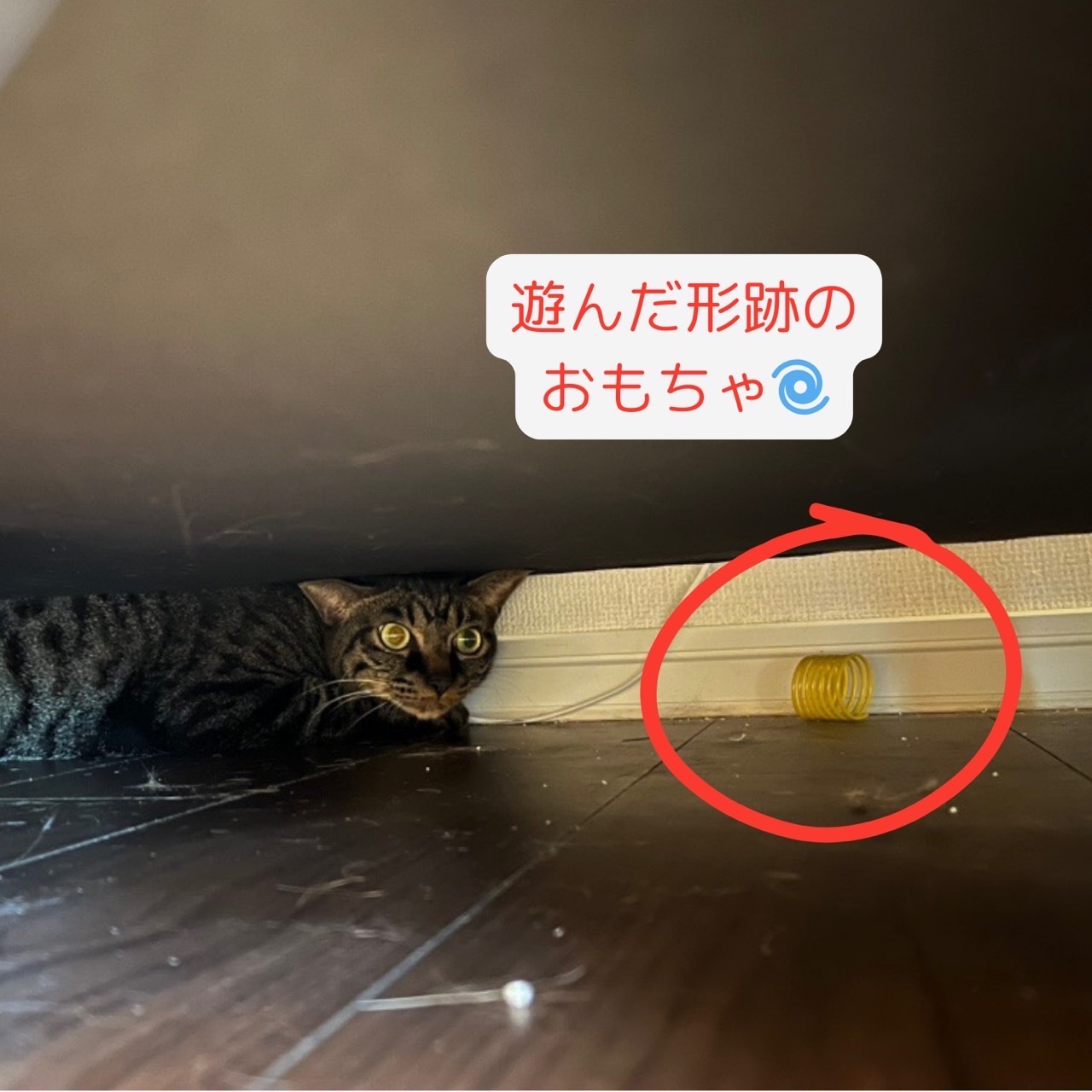 IMG_1441.jpeg