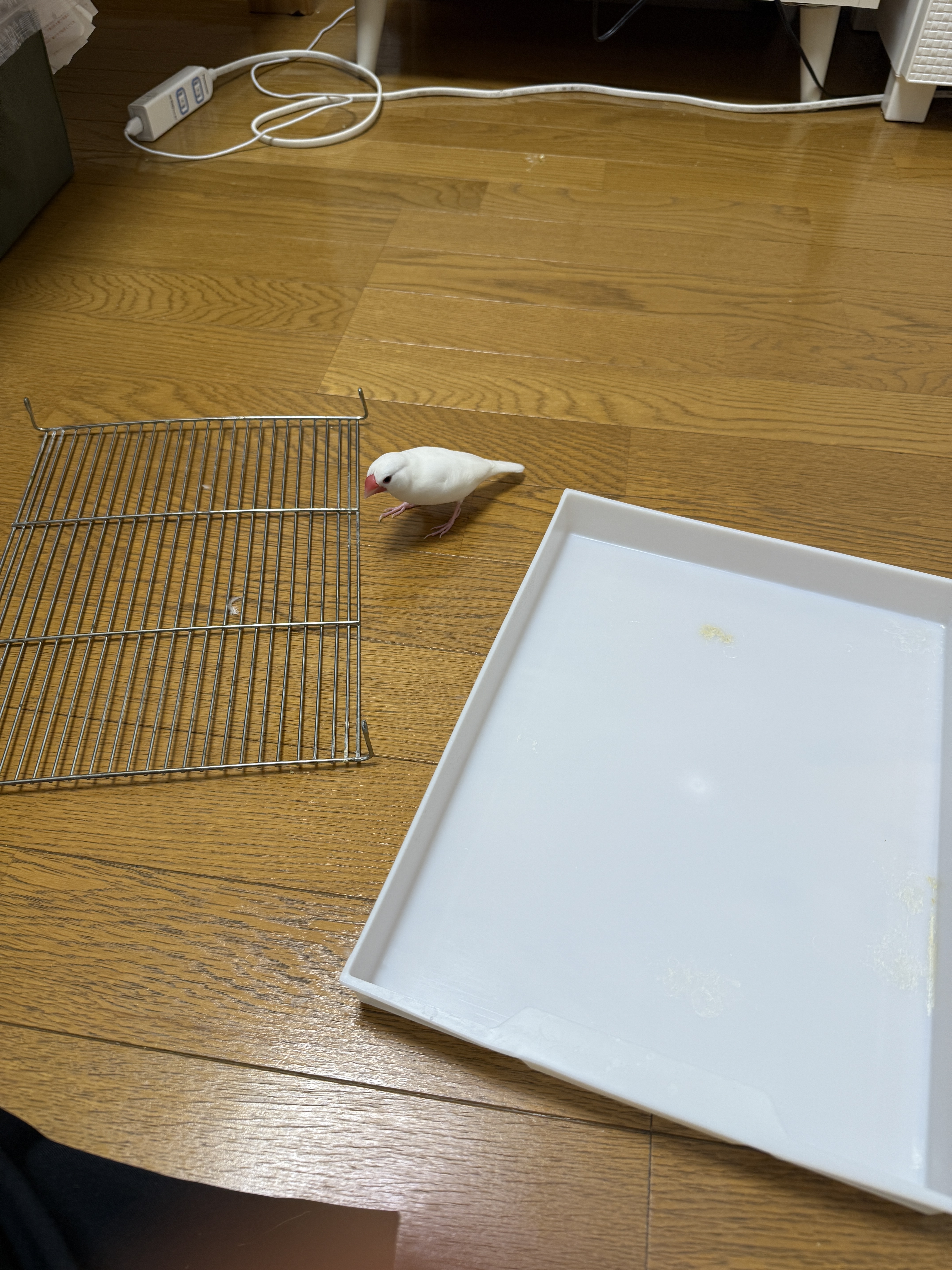 IMG_3624.jpeg