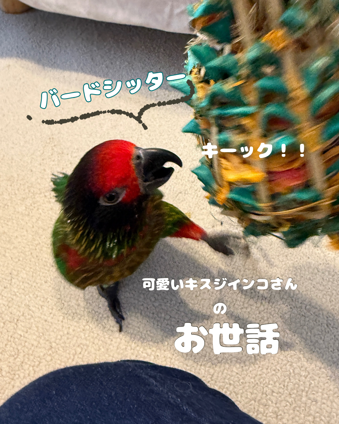 IMG_3856.png