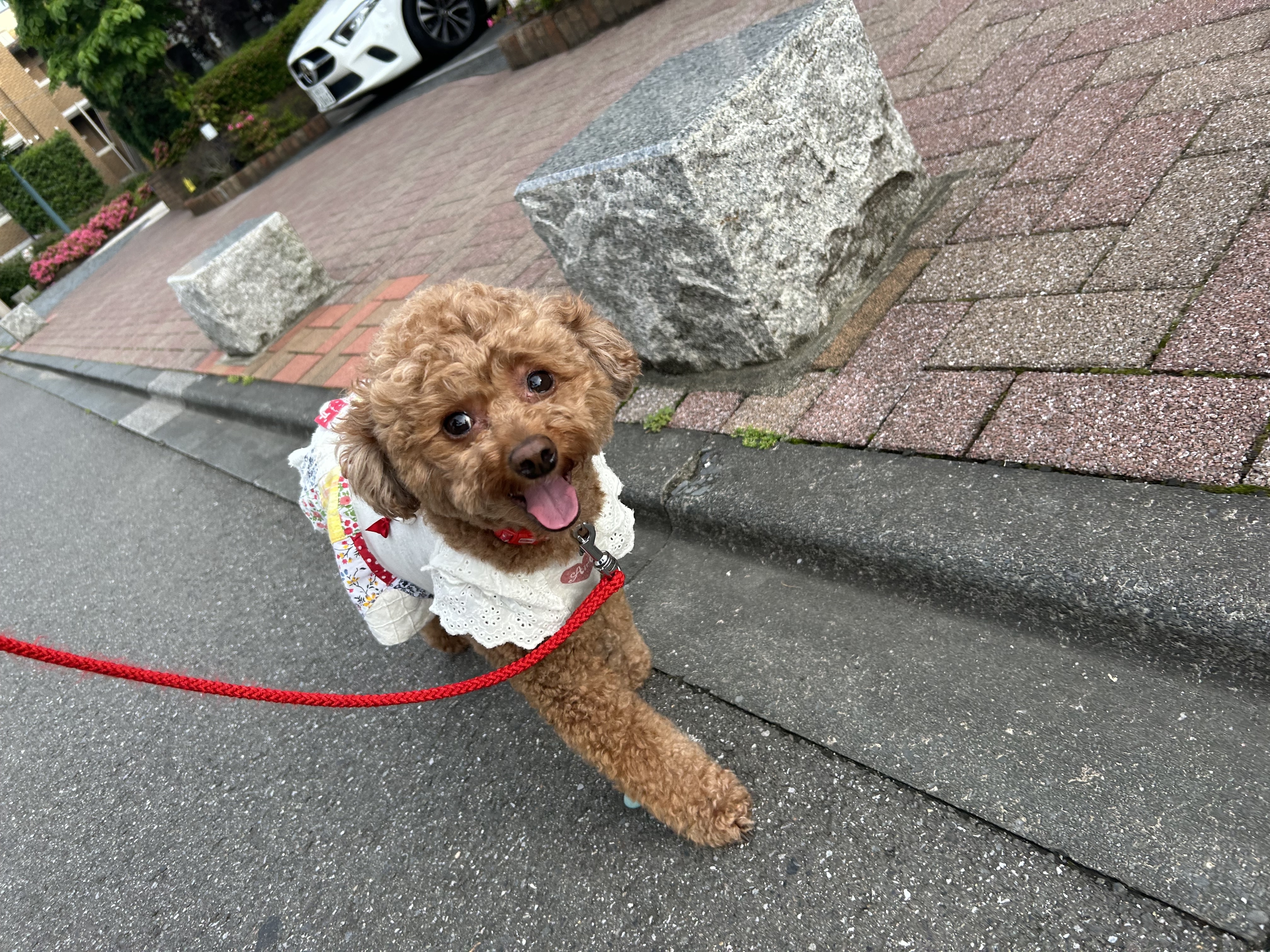 IMG_4359_1732752846.jpeg