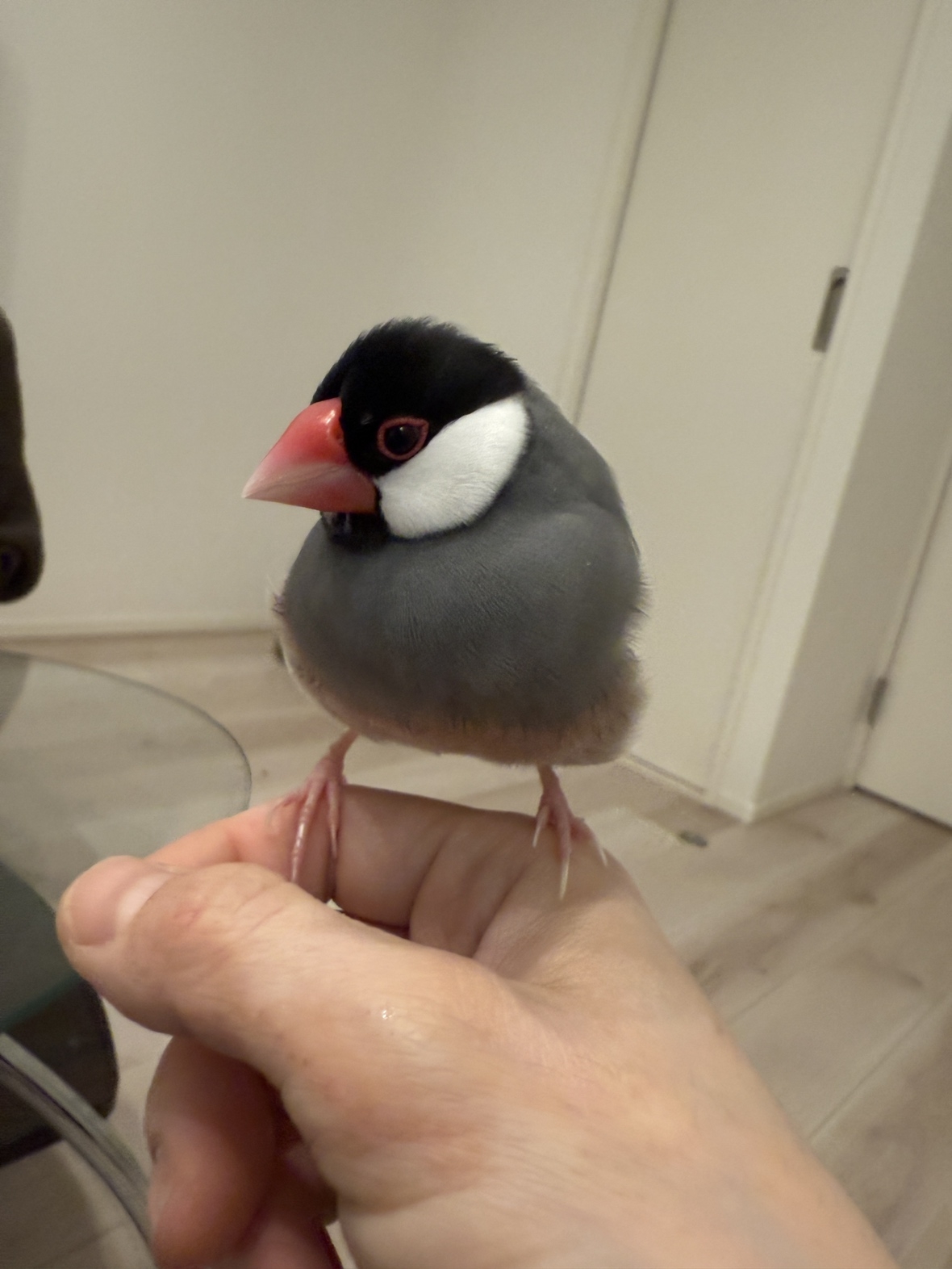 IMG_4769.jpeg