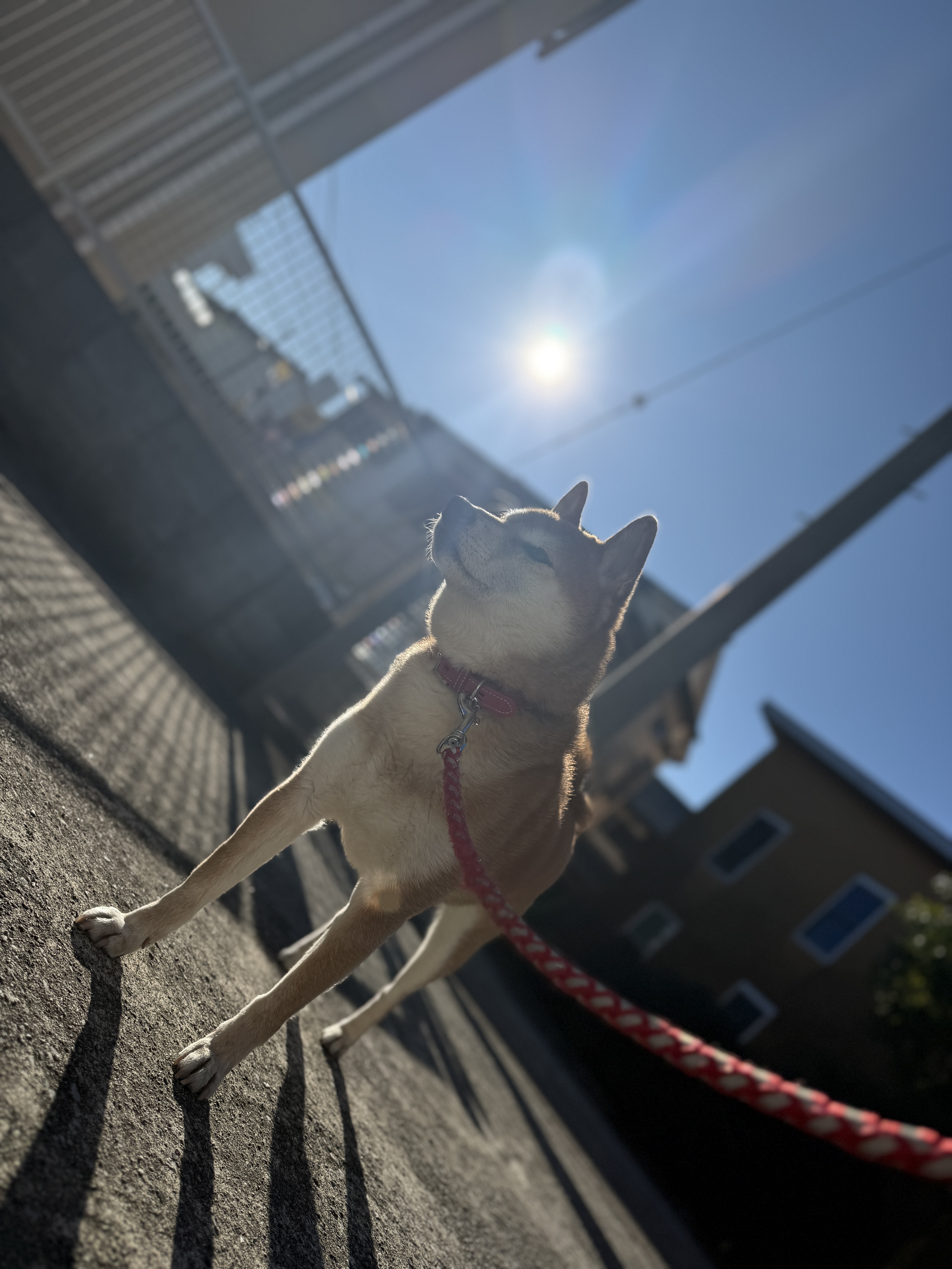 IMG_8404.jpeg