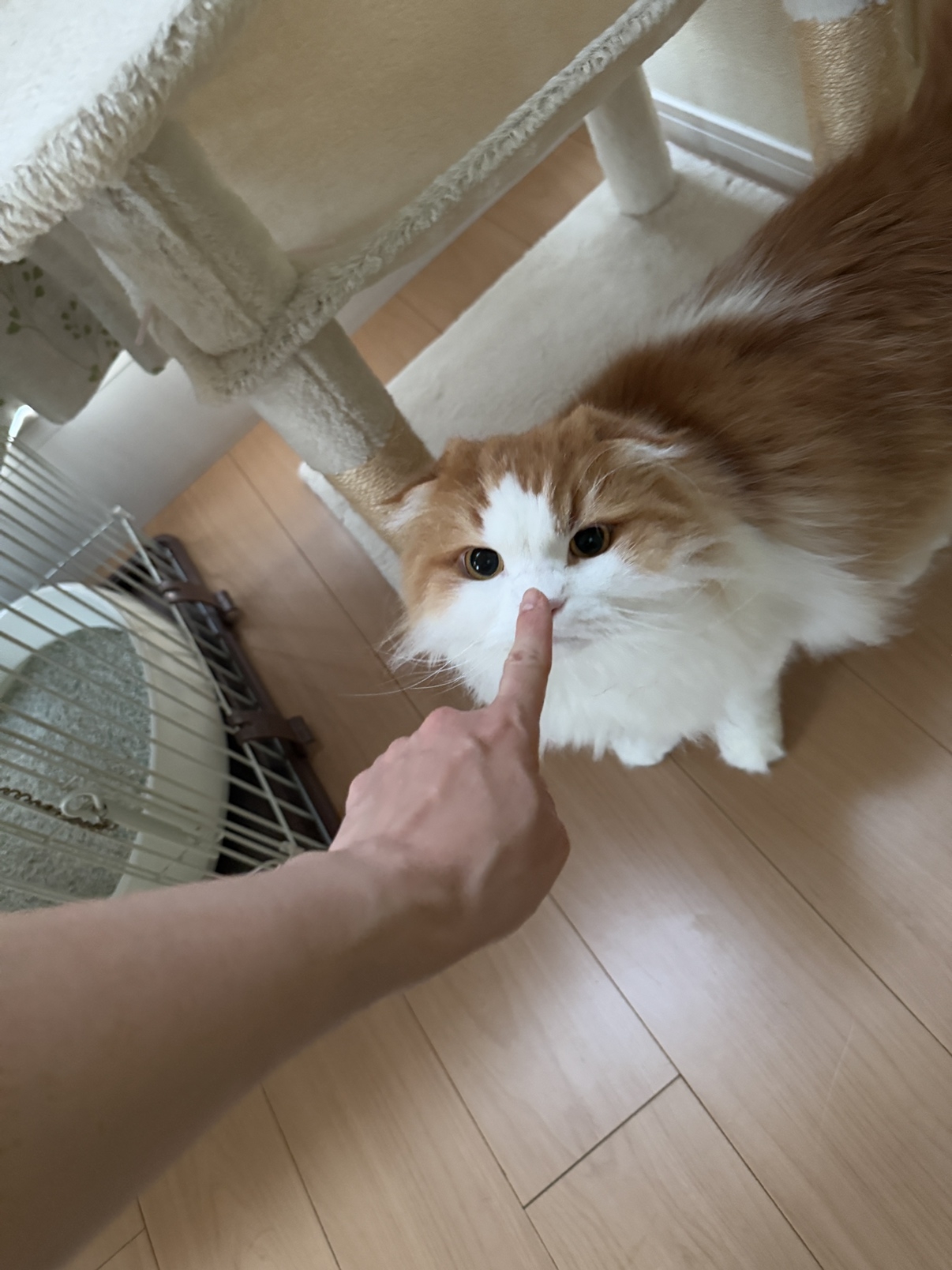IMG_9184.jpeg