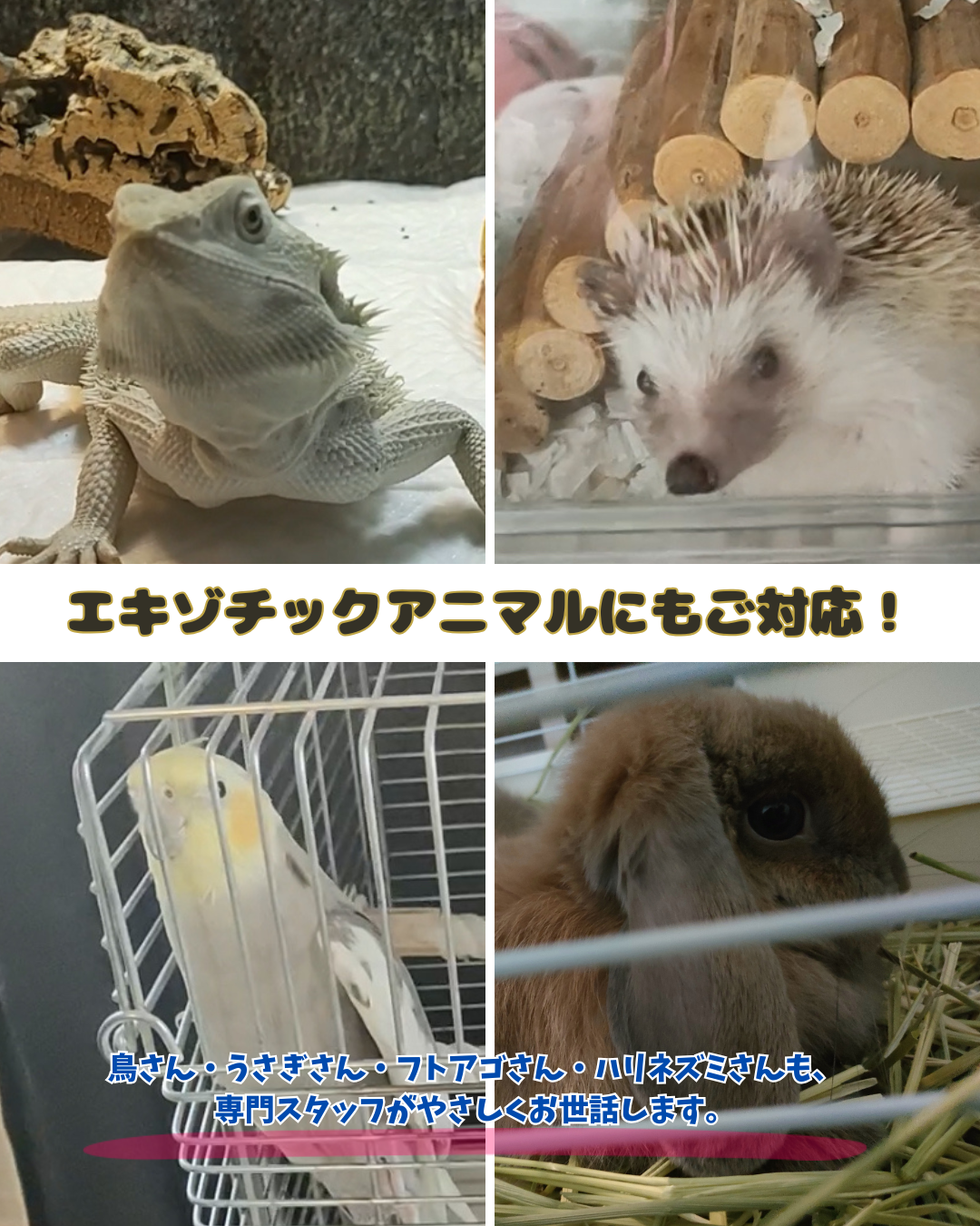 IMG_9199.png