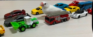 IMG_6863.jpeg