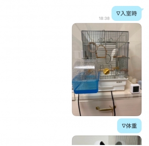 IMG_7780.jpeg