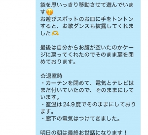 IMG_7781.jpeg