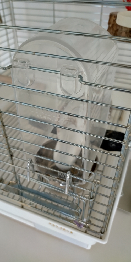 DSC_5662.jpeg