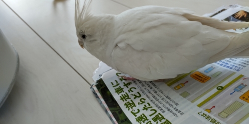 DSC_5676.jpeg