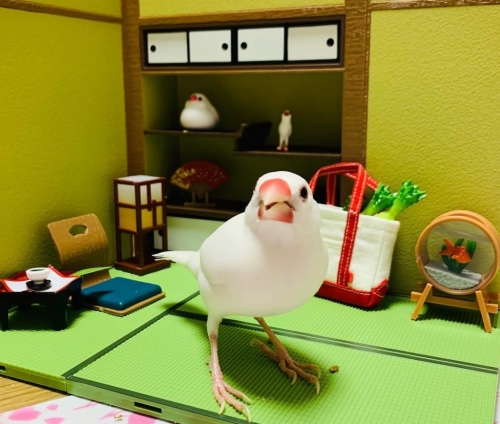 IMG_3164.jpeg