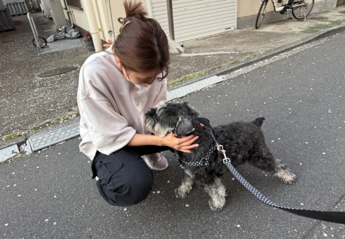 IMG_5387.jpeg