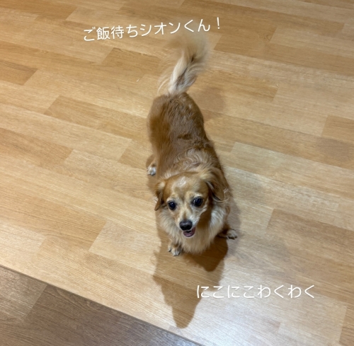 IMG_5391.jpeg