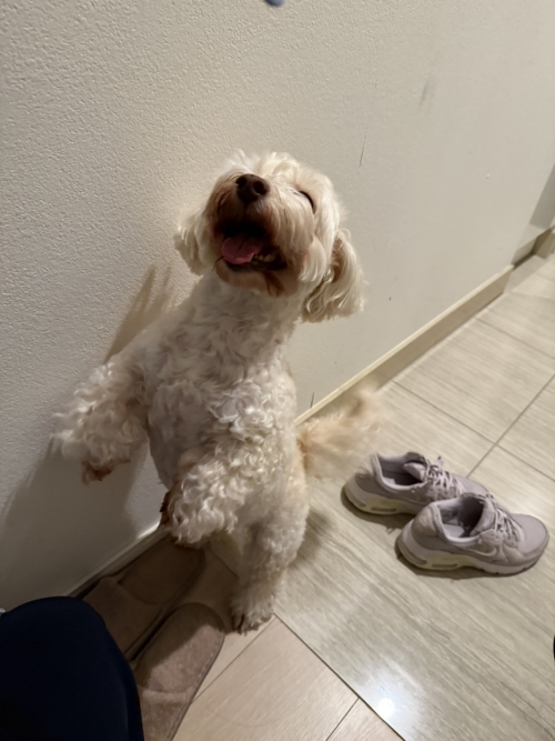 IMG_7104.jpeg