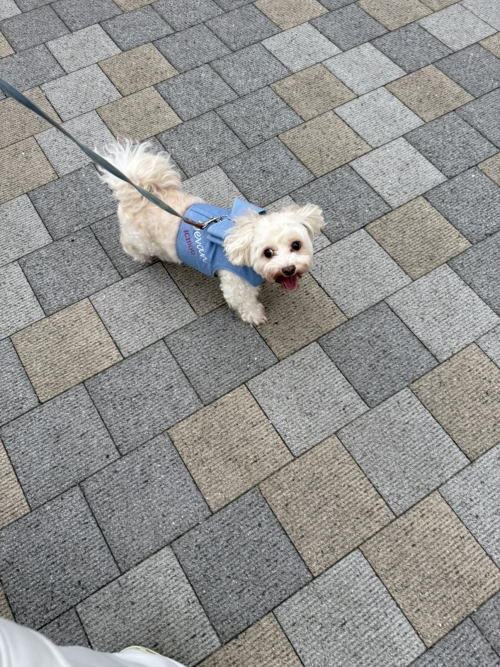 IMG_7186.jpeg