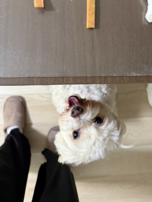 IMG_7348.jpeg