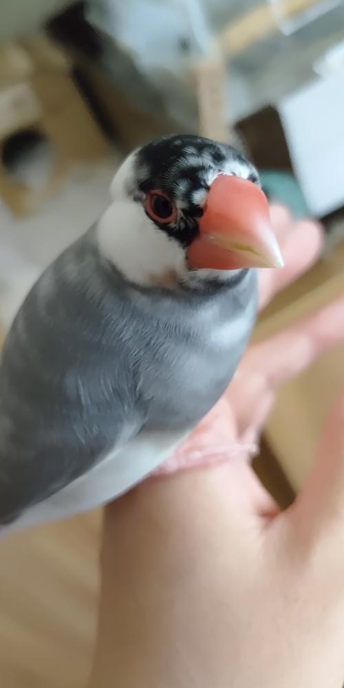 DSC_6416.jpeg
