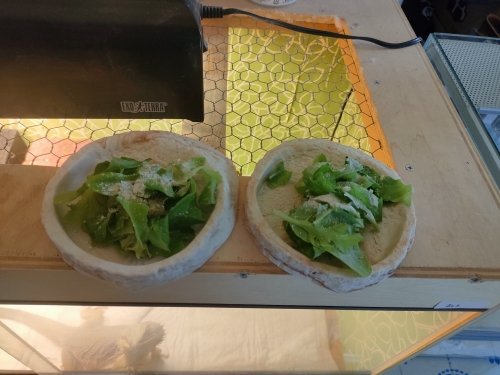 IMG20250710142357.jpeg