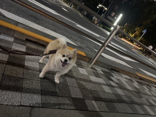 IMG_0987.jpeg