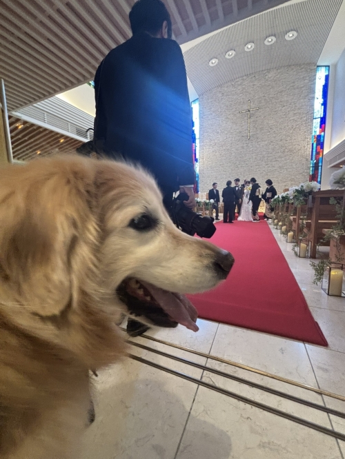 IMG_1945.jpeg