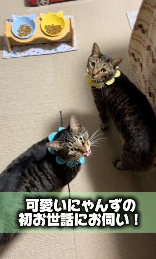 IMG_7911.jpeg