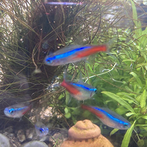 スタッフ紹介