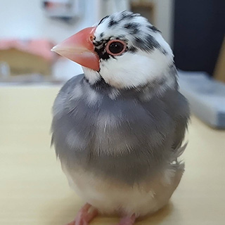 スタッフ紹介