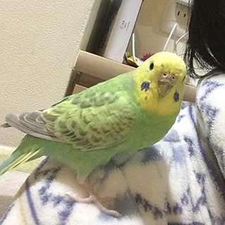 スタッフ紹介