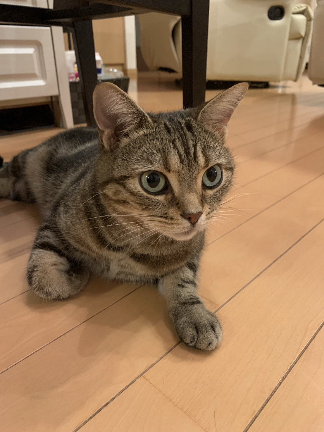 IMG_3105.jpeg