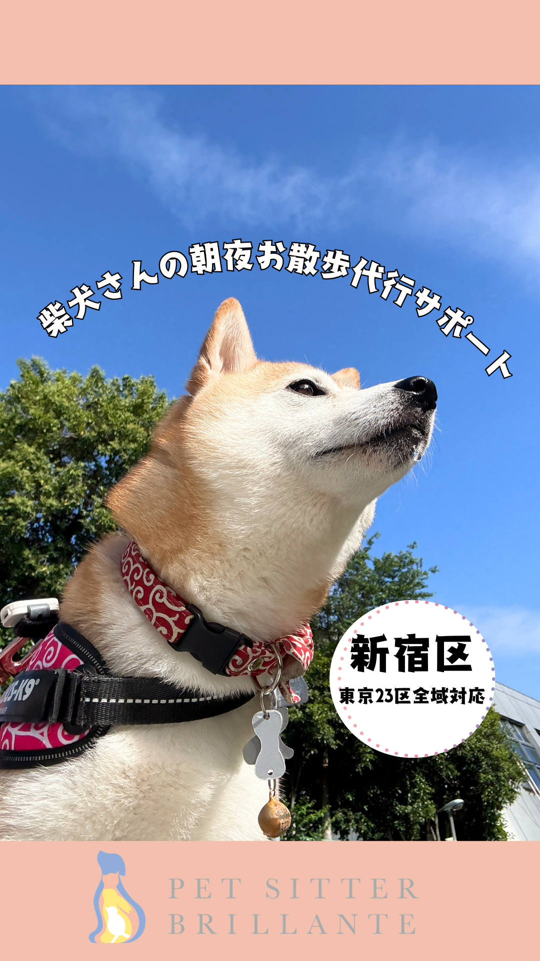 水色 シンプル アウトドア おでかけ Instagramリール動画カバー.png
