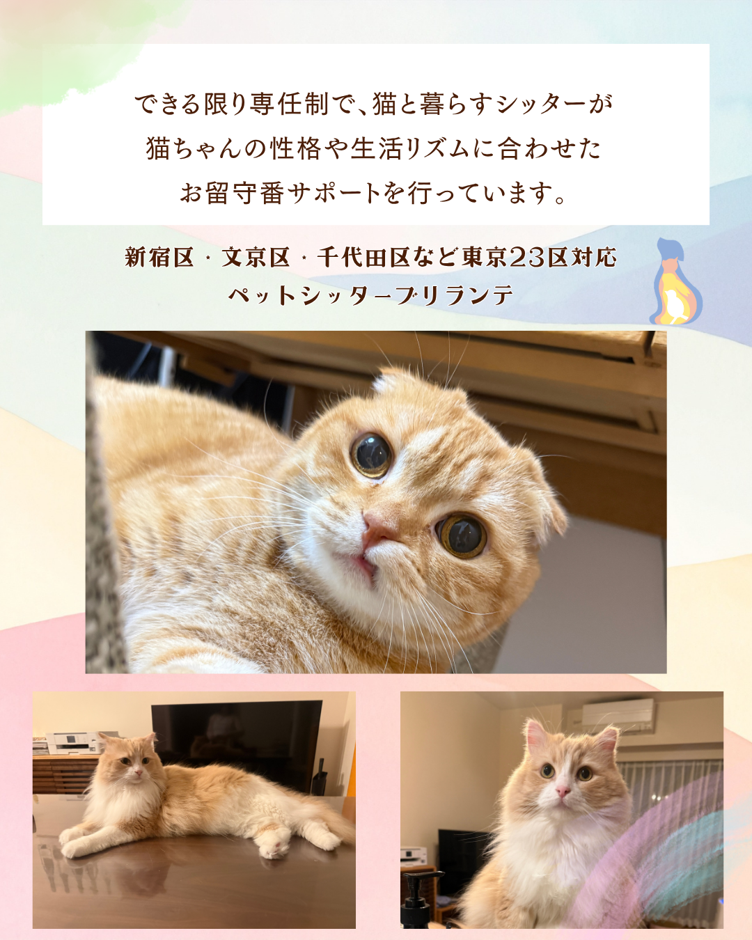長いお留守番の時間が、少しでも安心できる穏やかな時間になりますように。p 新宿区早稲田発｜東京23区対応br ペットシッターブリランテp - 1.png