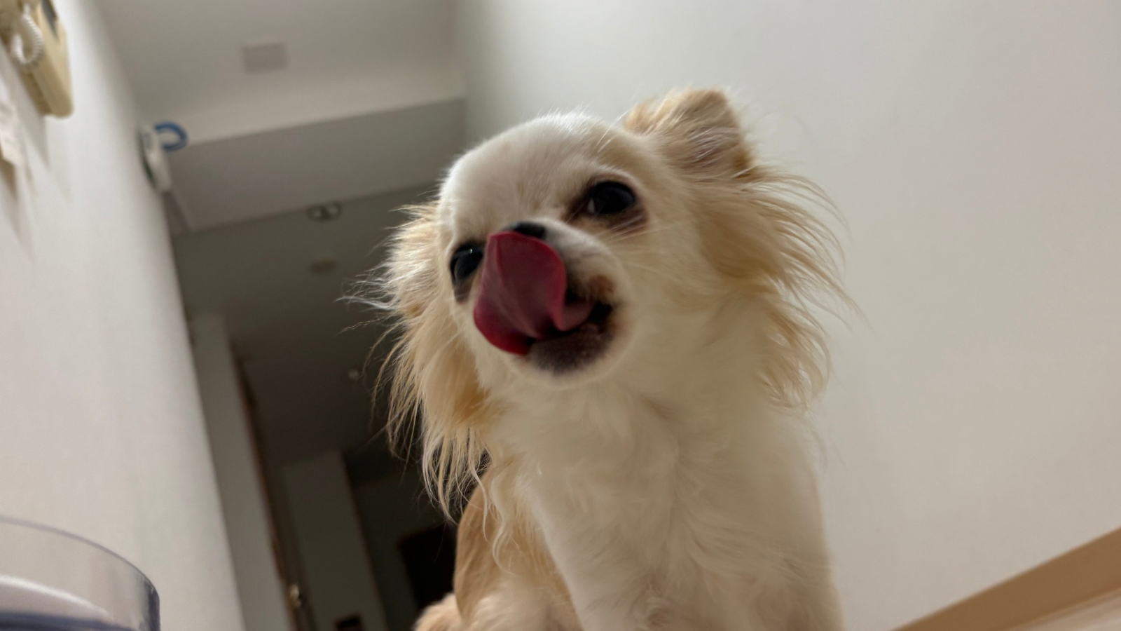 04a2ae7930f3abf1c809730218c5440531ba55d0.png