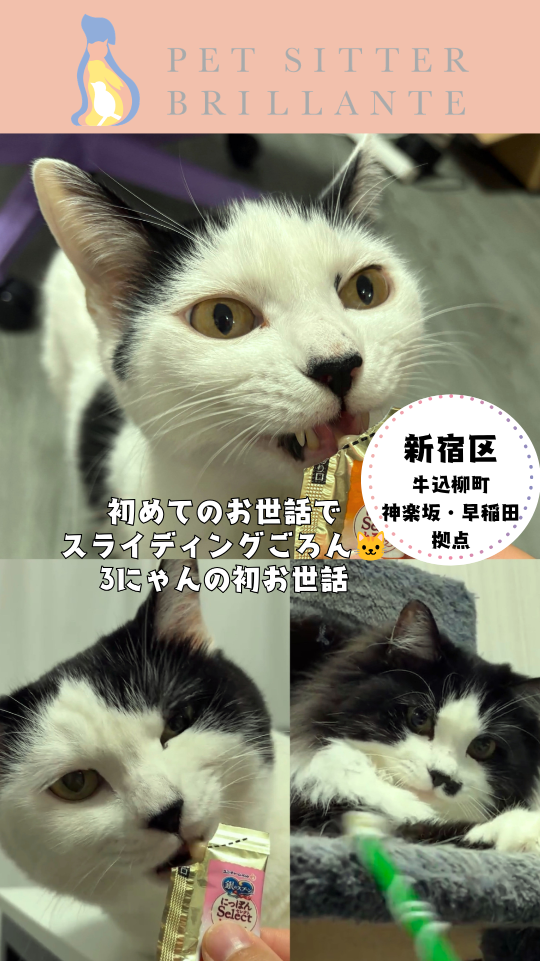 0d62568a375c59edb6a5bd4955889b3f91816127.png