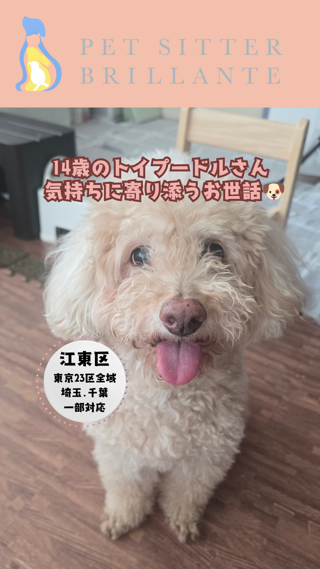 14fc321f610e0181936d3243bb1da3e1e1b37f64.png