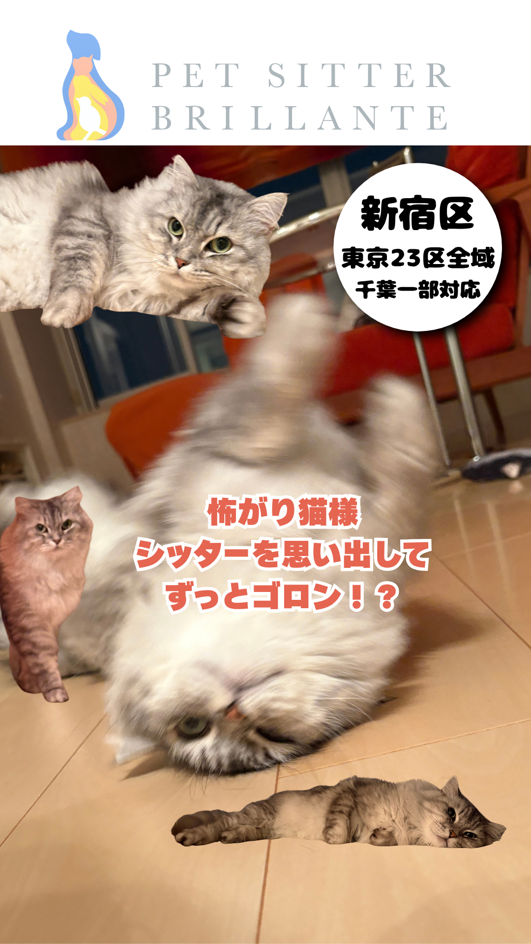 1b6c9c33ed090198b59cf1ee4a876d85168a415a.png