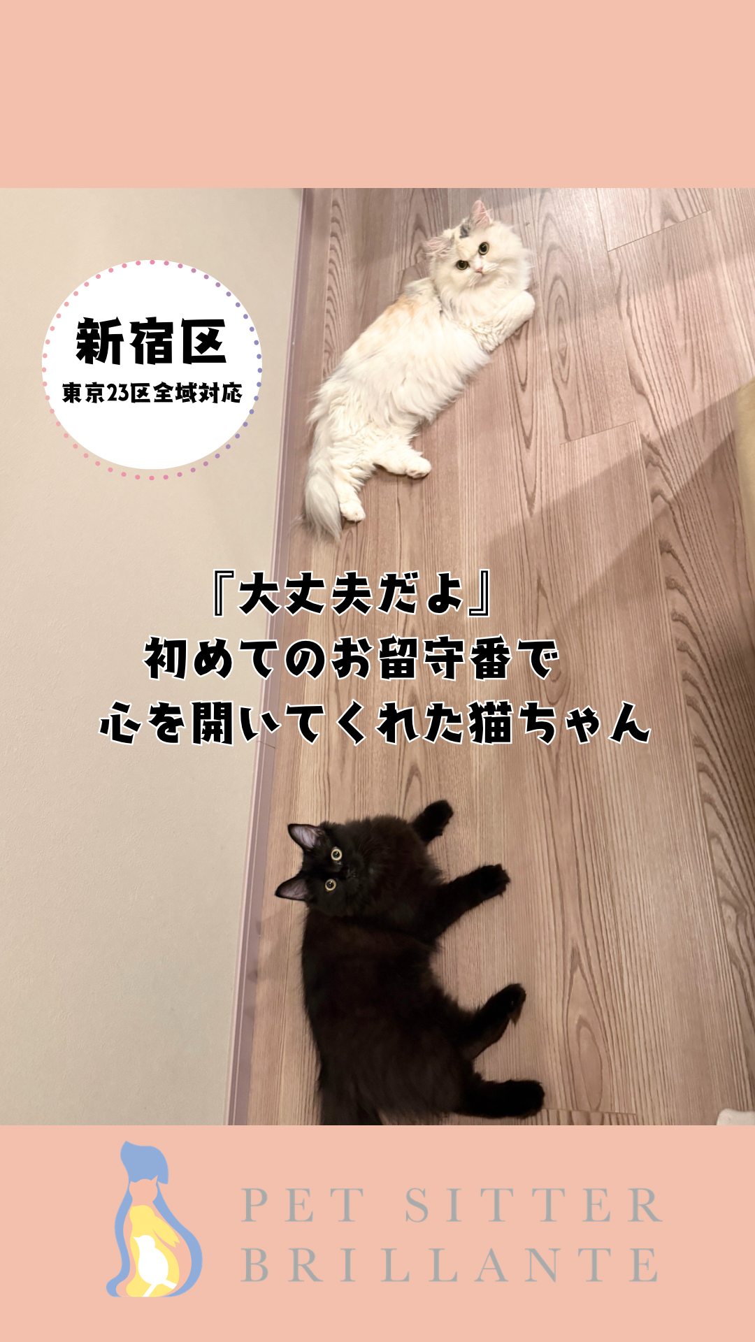 2d931e1f822e07b492b78f18ff903c0d5a060a1a.png
